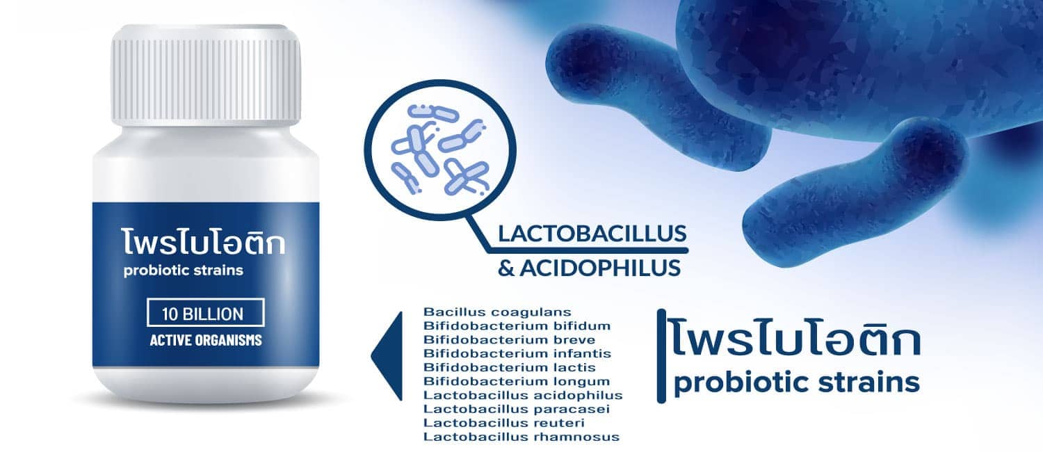 รับผลิตอาหารเสริมโพรไบโอติก