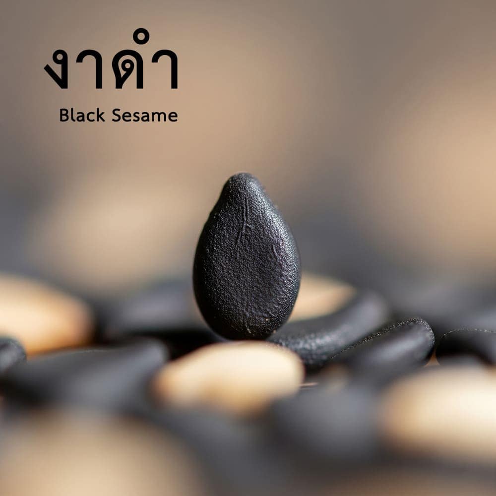 เมล็ดงาดำ