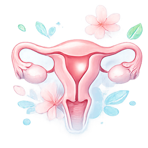 สุขภาพผู้หญิง