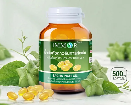 ผลงาน IMMOR Sacha
