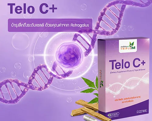 ผลงาน TeleC